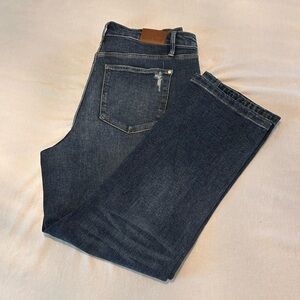 Judy Blue Straight Jeans 16W